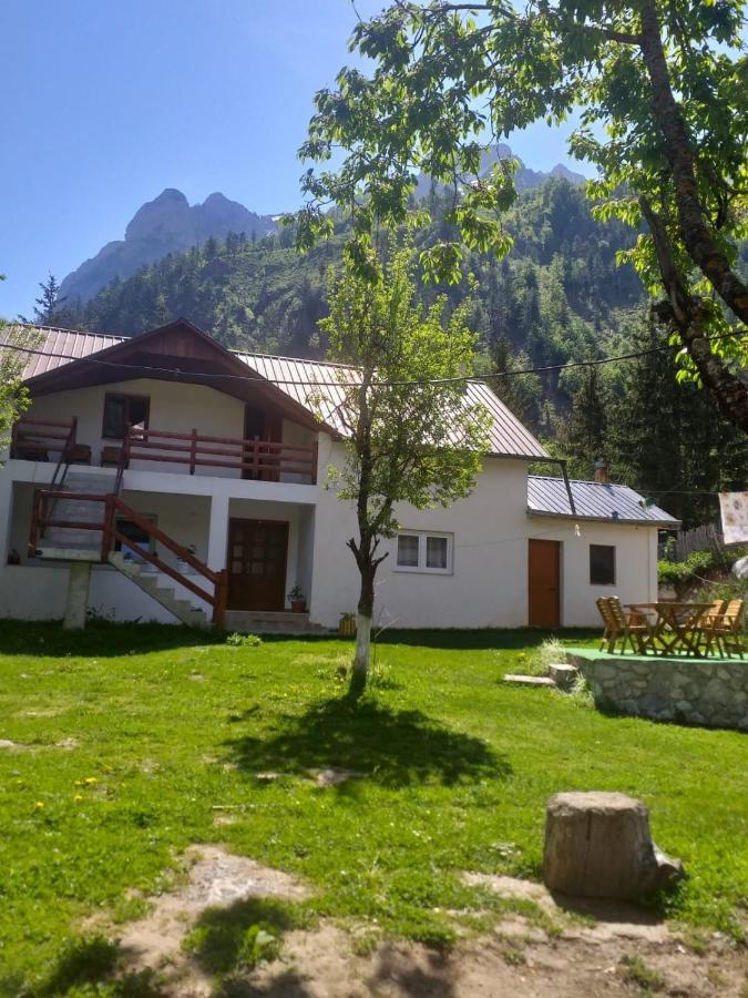 Bujtina Arlindi Bed & Breakfast Valbone Exterior photo